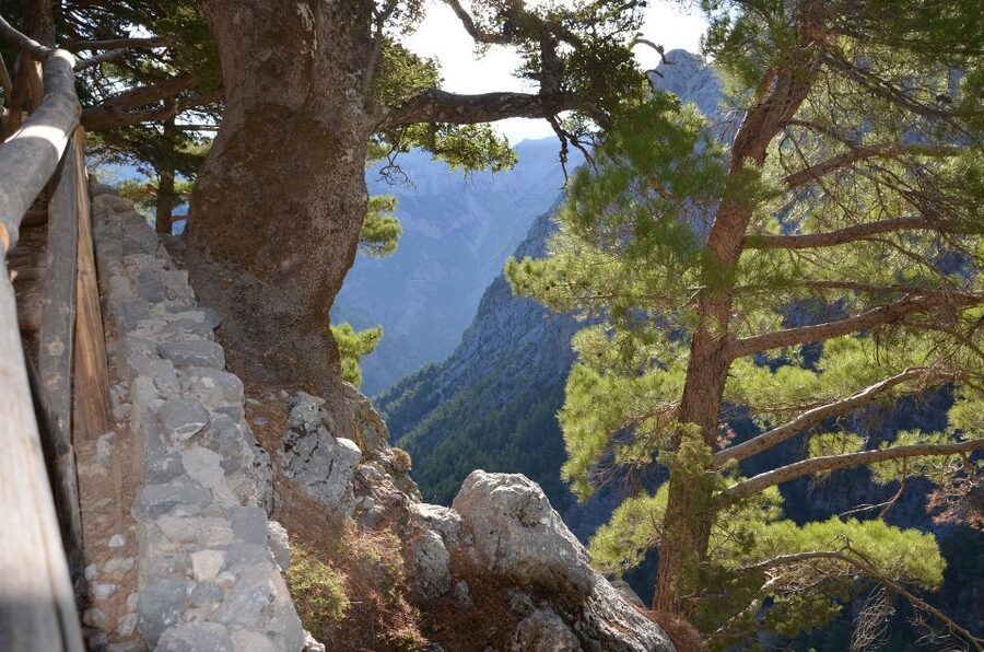 Samariá Gorge Hike: Day Excursion from Chania - Key points to know before you book