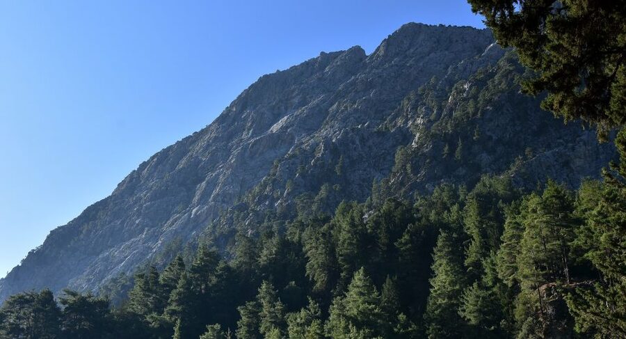Samariá Gorge Hike: Day Excursion from Chania - The 18-kilometer walk through the gorge