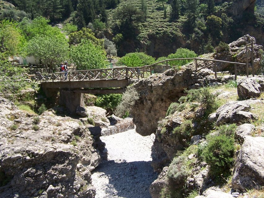 Samariá Gorge Hike: Day Excursion from Chania - Guides and group organization