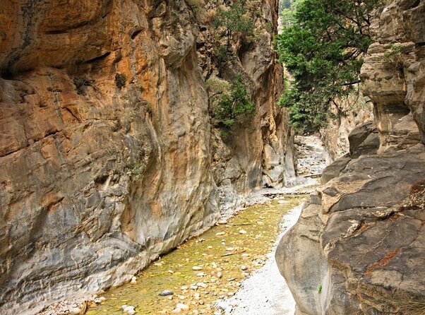 Samaria Gorge Hiking from Chania with Professional Hiking Guide - Agia Roumeli: food, beach, and recovery