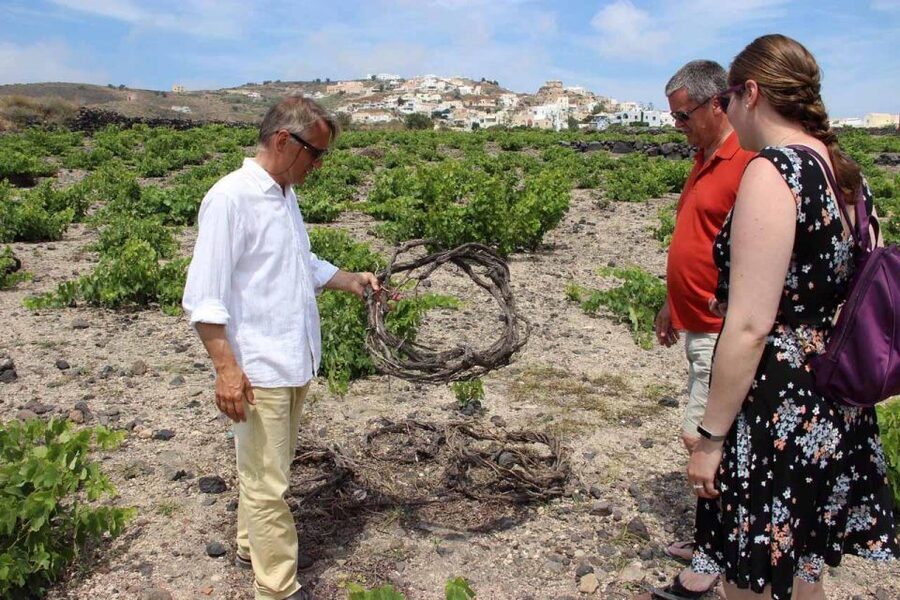 Santorini: 5-Hour Private Wine Tour - What you will taste, and what you may not