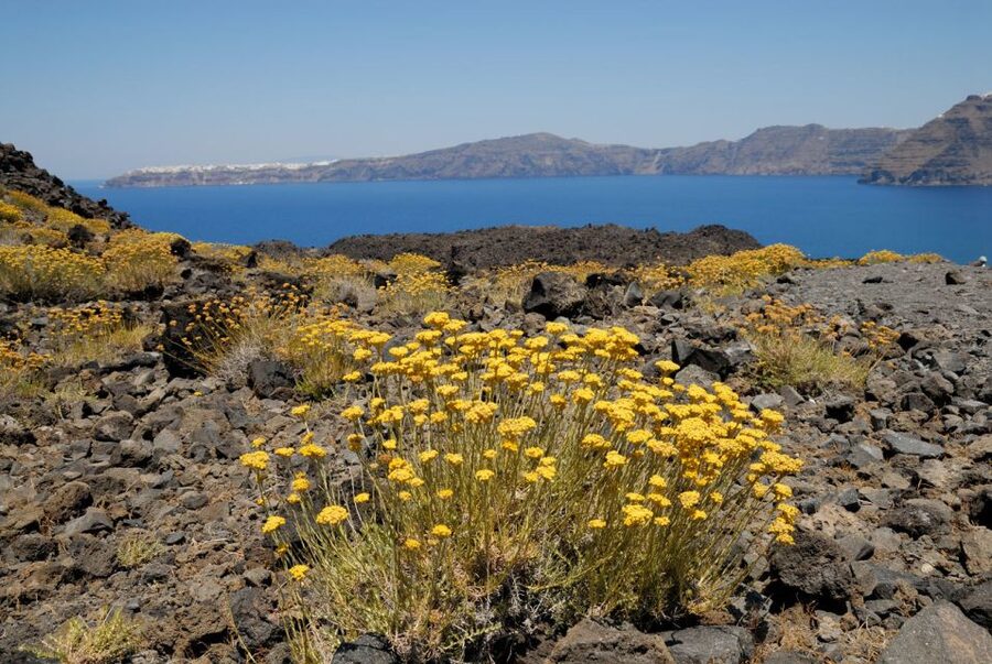 Santorini Caldera: Sunset Cruise with Dinner - Practical advice for a smoother outing