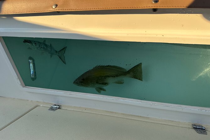 Santorini Fishing Private Cruise boat tour - BBQ, Snorkeling - Captain Makis and Elias set the tone