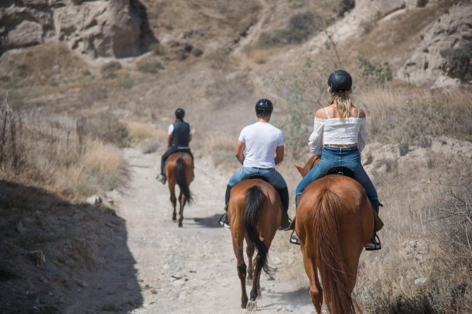 Santorini Horse Riding to Black Sandy Beach - Is $102.79 a fair price?