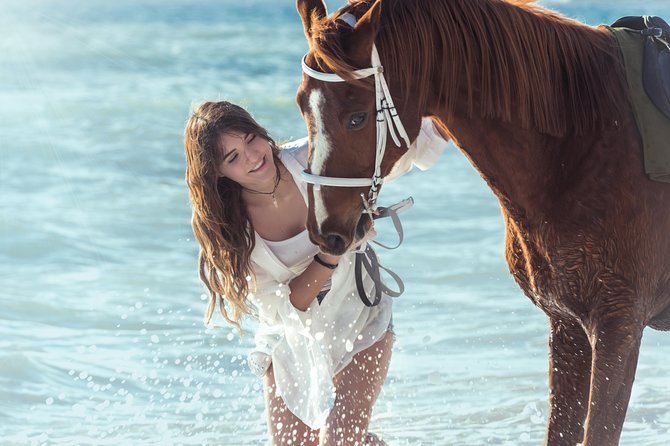 Santorini Horse Riding to Black Sandy Beach - Who should book this horse ride?