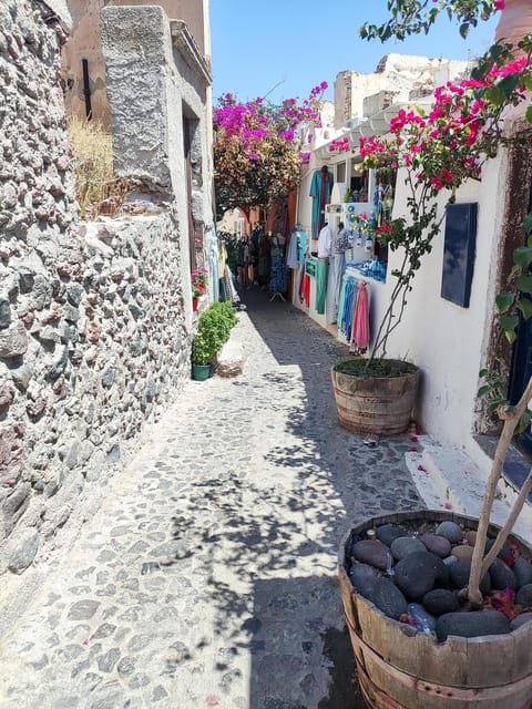 Santorini: Private Sightseeing Tour with Local Guide - Megalochori and the central cave