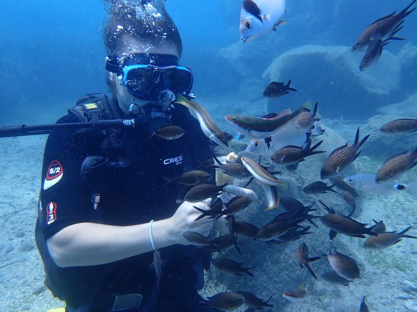 Santorini: Scuba Diving - Moving from practice to a relaxed underwater outing