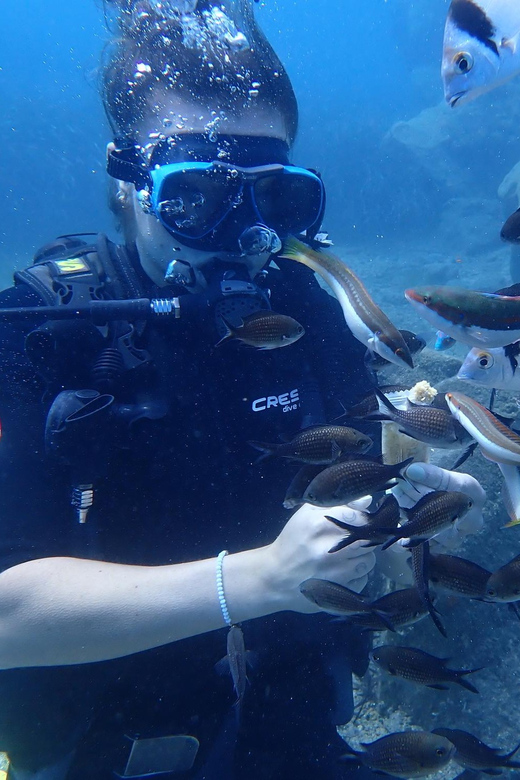 Santorini: Scuba Diving - What the $112 price really covers