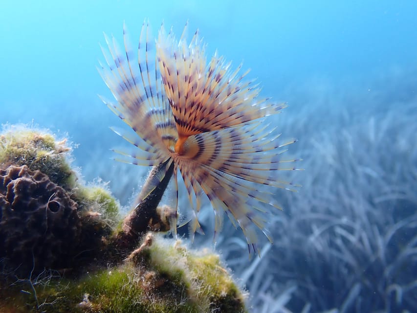 Santorini: Scuba Diving - Handling nerves, masks, and the first breath