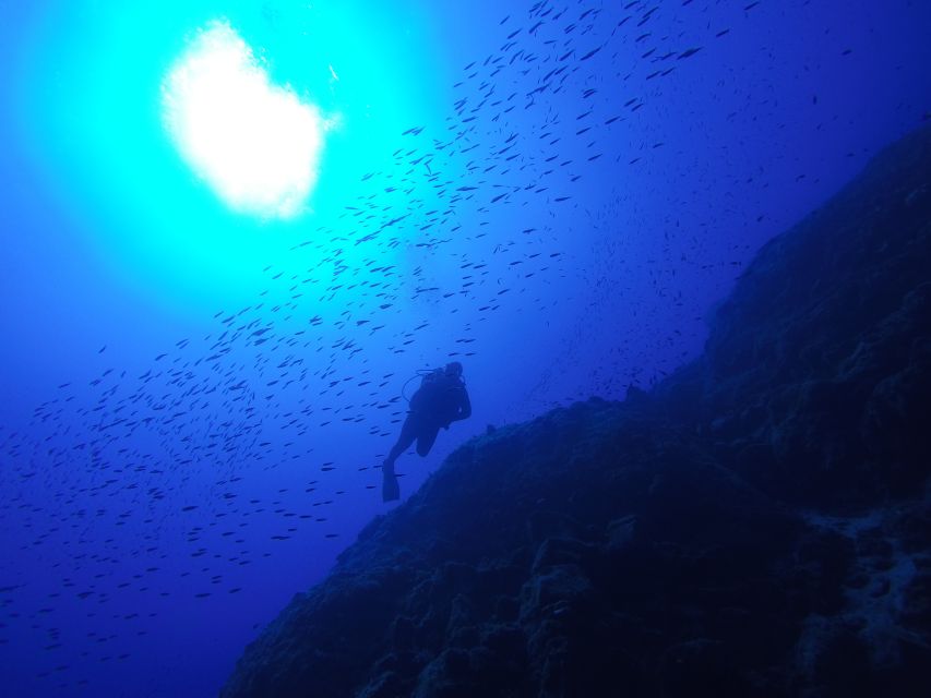 Santorini: Scuba Diving Experience for Beginners - Seeing Armeni’s lava formations below the surface