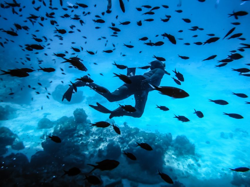 Santorini: Scuba Diving Experience for Beginners - Getting comfortable with scuba equipment at Armeni Bay