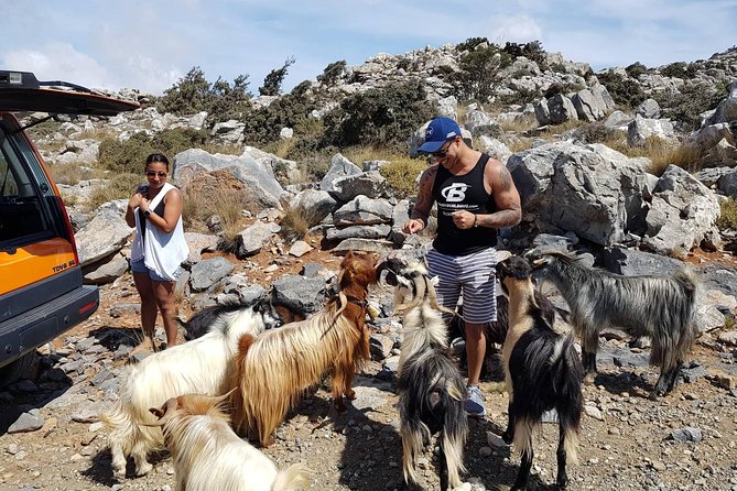 Sarakina Gorge, Kritza, Oliveoil Tasting, Mountains, South Coast - A mountain lunch with wine and raki