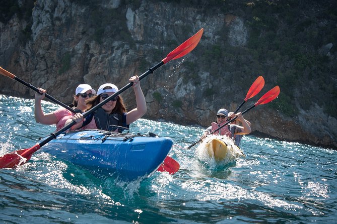 Sea Kayaking in Navarino Bay - Key things to know before you book