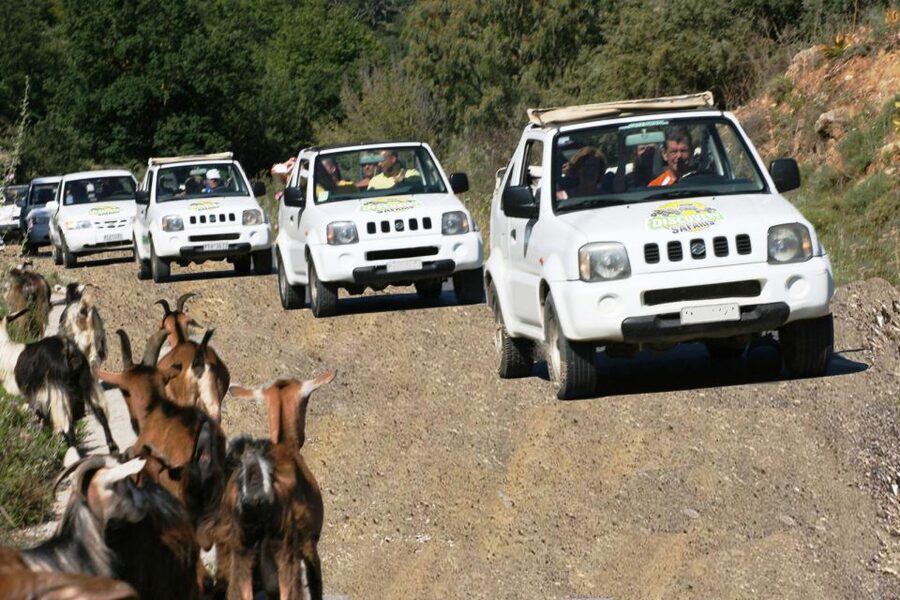 Self-Drive Jeep Safari to South Coast, Palm Beach & Canyons - Potamon Dam and a 30-minute coffee break
