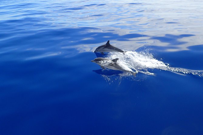 Semi-private Antiparos & Caves Blue Lagoon OR Rina Cave & Small Cyclades - Key points to know before booking
