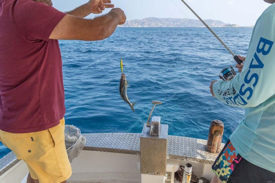 Shared Morning Cruise from Pollonia to Polyaigos - Is $117 good value?