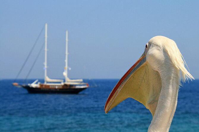 Sightseeing like a Mykonian(Small Group or Private) - Armenistis Lighthouse and the optional coastal route