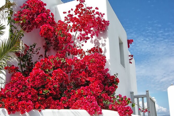 Sightseeing like a Mykonian(Small Group or Private) - Guides, group size, and the feel of the day