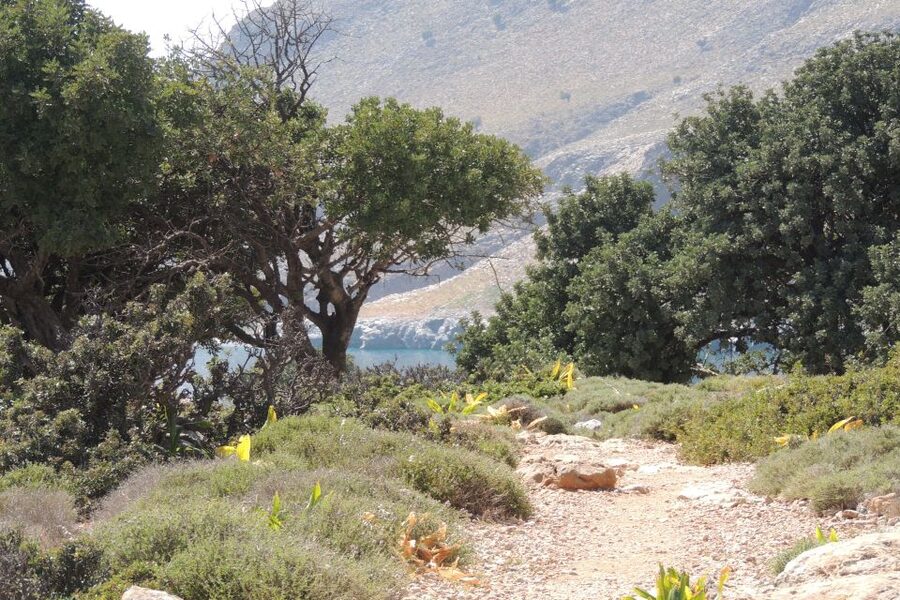 South Crete: Sarakinas Gorge Hike, Swim & Jeep Safari - The route from the coast into southeastern Crete