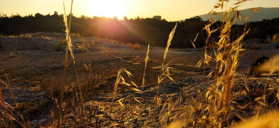 Sunrise Yoga & Meditation Acropolis & 360 view - Should You Book Sunrise Yoga on Philopappou Hill?