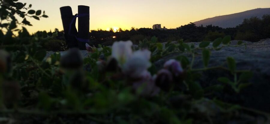 Sunrise Yoga & Meditation Acropolis & 360 view - George’s Teaching Style and Group Comfort