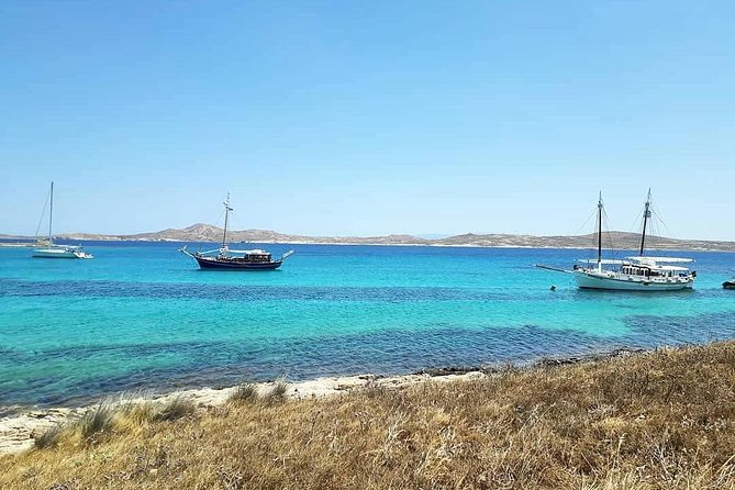 The Authentic Rhenia-Delos Cruise - Is $106.42 a fair price?