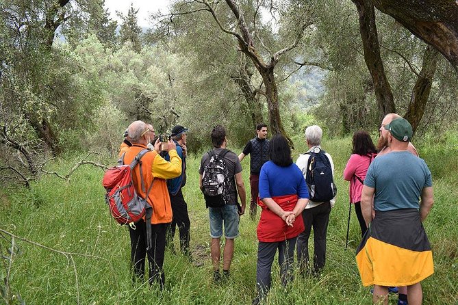 The Governor's Olive Mill Tour with Olive Oil Tasting - The tasting lesson is the heart of the tour