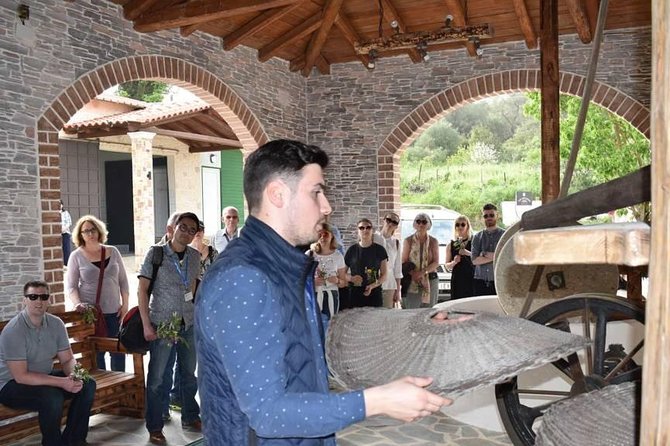 The Governor's Olive Mill Tour with Olive Oil Tasting - Pickup, timing, and group size