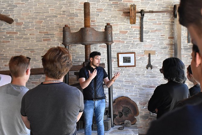 The Governor's Olive Mill Tour with Olive Oil Tasting - Starting among Corfu’s ancient olive groves