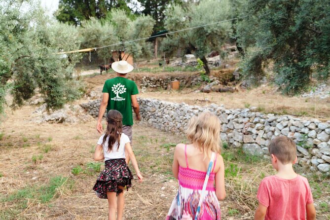 The Olive Oil Experience @ Lefkada Micro Farm - Why supermarket oil can be a confusing comparison