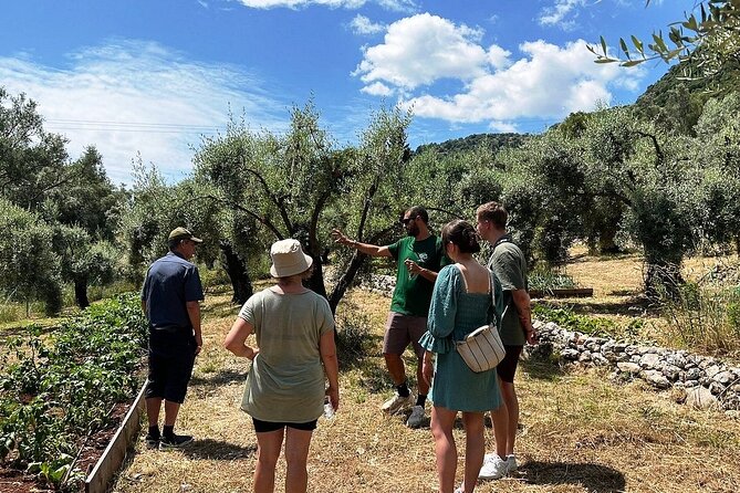 The Olive Oil Experience @ Lefkada Micro Farm - Is $54 a fair price?