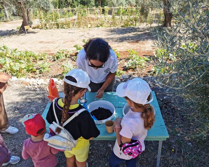 The Olive Oil Experience @ Lefkada Micro Farm - Booking details that affect your plans
