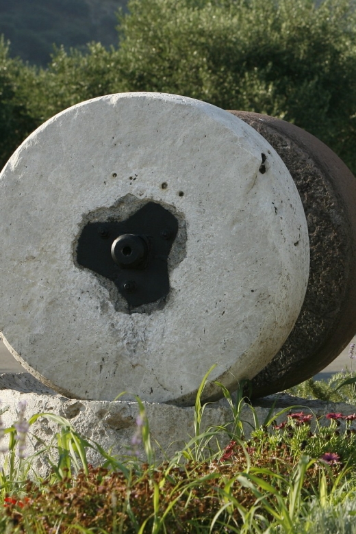 The Terra Creta Olive Oil Experience Tour - Is Terra Creta worth booking?