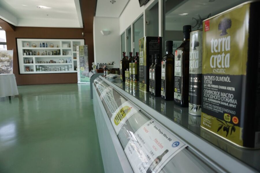 The Terra Creta Olive Oil Experience Tour - Learning from the guides
