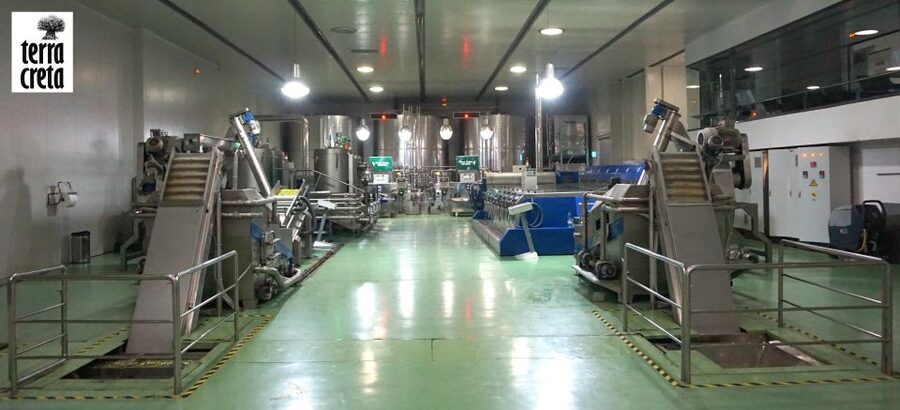 The Terra Creta Olive Oil Experience Tour - Who will enjoy this tour most