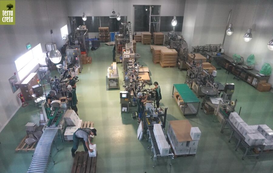 The Terra Creta Olive Oil Experience Tour - Best timing and practical planning