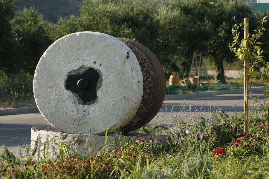 The Terra Creta Olive Oil Experience Tour - Arriving at Terra Creta in Kamisiana
