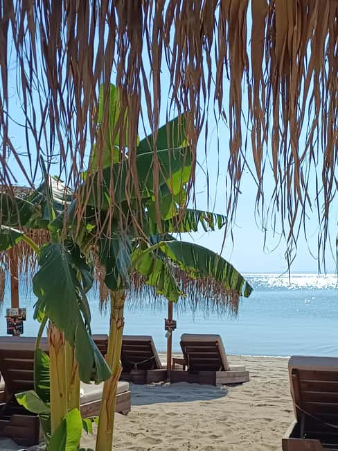 Thessaloniki: Halkidiki Beach-Hopping with Swimming - Who will enjoy this Halkidiki day most?