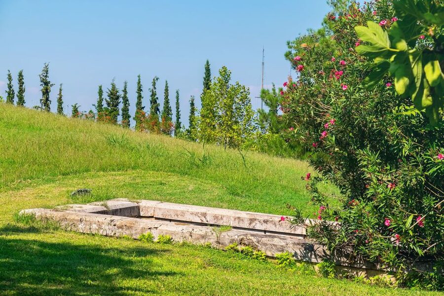 Thessaloniki: Vergina and Pella Day Trip - How the guides shape the day