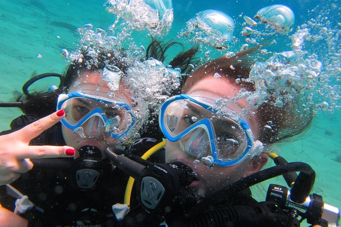 Try a DIVE, discover scuba diving in Mykonos - Key points to know before booking