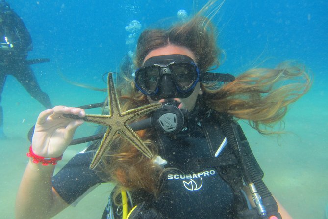 Try a DIVE, discover scuba diving in Mykonos - A shallow route around Lia Reef