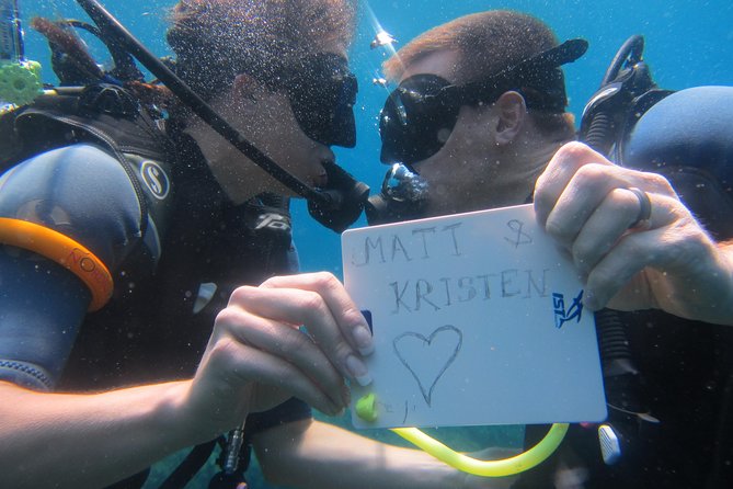 Try a DIVE, discover scuba diving in Mykonos - Why the instructors receive so much praise