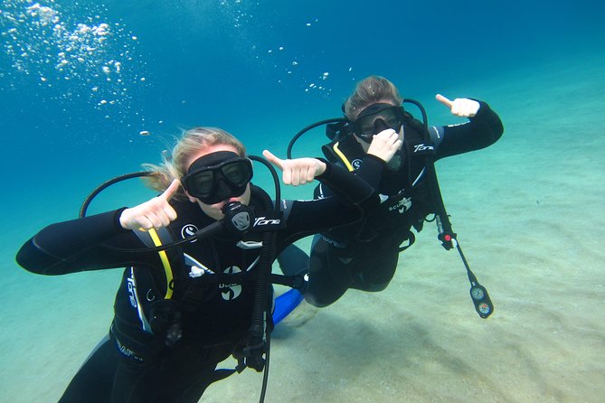 Try a DIVE, discover scuba diving in Mykonos - The photos add real value to the $193.57 price