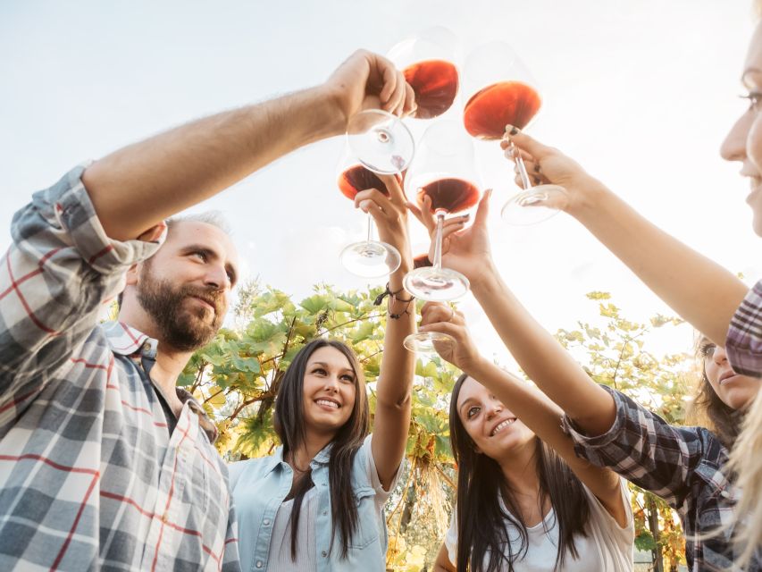 Vineyard Sips: Family Winery Tour & Gourmet Tasting in Corfu - Local snacks make the tasting better
