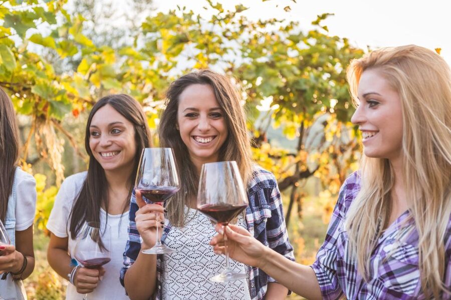 Vineyard Sips: Family Winery Tour & Gourmet Tasting in Corfu - Is $46 a fair price?