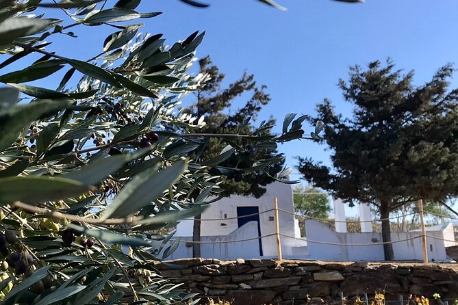 Wine Tasting and Tour in Saint Anna Winery in Naxos - What you taste during the evening