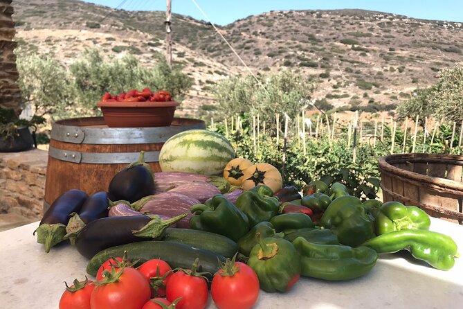 Wine Tasting and Tour in Saint Anna Winery in Naxos - Is $72.59 a fair price?