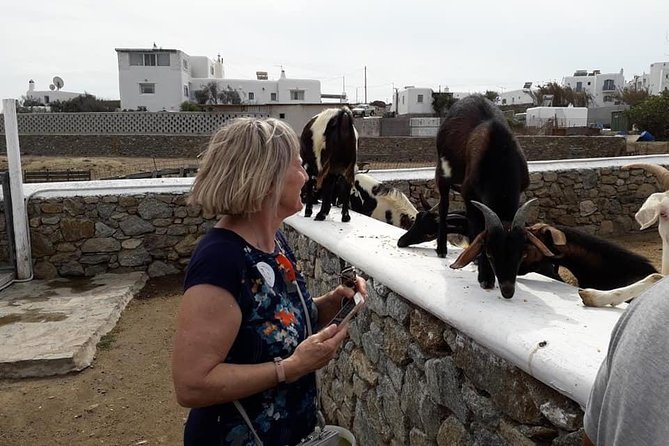 Wine Tasting Tour at a traditional farm in Mykonos - A relaxed three-hour break from Mykonos crowds