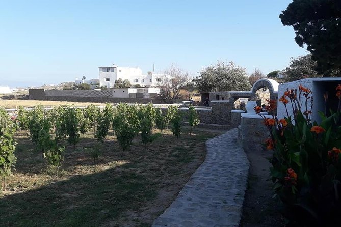 Wine Tasting Tour at a traditional farm in Mykonos - Who will enjoy this Mykonos wine tasting?