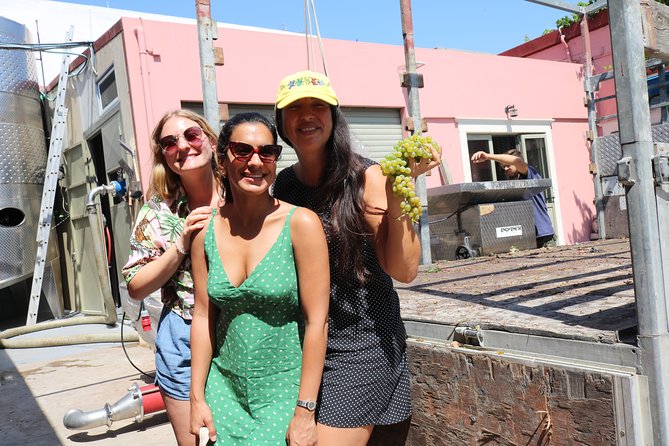 "YAMAS" - Winery tour &wine tasting - What the Cretan rusks add to the tasting